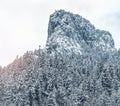 Majestic mountains in winter with white snowy spruces. Wonderful wintry landscape. Amazing view on snowcovered rock mountains. Royalty Free Stock Photo