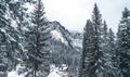 Majestic mountains in winter with white snowy spruces. Wonderful wintry landscape. Amazing view on snowcovered rock mountains. Royalty Free Stock Photo