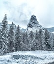 Majestic mountains in winter with white snowy spruces. Wonderful wintry landscape. Amazing view on snowcovered rock mountains. Royalty Free Stock Photo