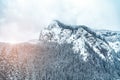Majestic mountains in winter with white snowy spruces. Wonderful wintry landscape. Amazing view on snowcovered rock mountains. Royalty Free Stock Photo