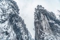 Majestic mountains in winter with white snowy spruces. Wonderful wintry landscape. Amazing view on snowcovered rock mountains. Royalty Free Stock Photo