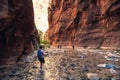 The Majestic Narrows of Zion National Park, Utah