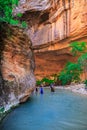 The Majestic Narrows of Zion National Park, Utah Royalty Free Stock Photo
