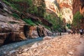 The Majestic Narrows of Zion National Park, Utah Royalty Free Stock Photo