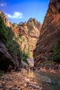 The Majestic Narrows of Zion National Park, Utah