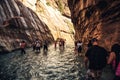 The Majestic Narrows of Zion National Park, Utah