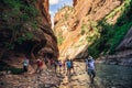 The Majestic Narrows of Zion National Park, Utah Royalty Free Stock Photo