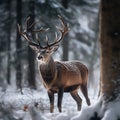 Majestic Noble Deer in Winter Wonderland