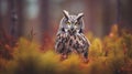 Majestic Owl In Norwegian Forest