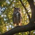 Majestic Owl Perched on Willow Tree at Sunset Royalty Free Stock Photo
