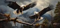 Majestic Pair: Witness the Power of Two Bald Eagles Sharing a Branch