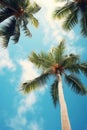 Majestic Palm Tree Against Blue Sky Royalty Free Stock Photo