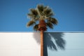 Majestic Palm tree contrast. Generate Ai Royalty Free Stock Photo