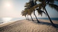 Majestic Palmy Trees Frame a Pristine Sandy Beach, Where Sun and Sea Unite in Harmony