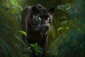 majestic panther prowling through lush forest