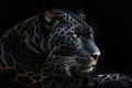 Majestic Panther Stuns In Striking Digital Artwork Against Black Background