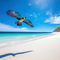 A majestic parrot flying over a tropical beach. Tropical wildlife