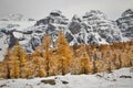 Majestic peaks in autumn colors around Larch valley, Canada Royalty Free Stock Photo