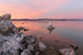 Majestic pink twilight  in Mono Lake, California with rough rock formations Royalty Free Stock Photo