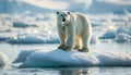 Majestic Polar Bear on Iceberg, Wildlife Conservation Concept Royalty Free Stock Photo