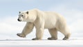 A majestic polar bear walking on frozen arctic tundra generated by AI