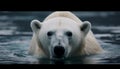 majestic polar bear in the water generated by AI