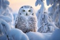 Majestic Polar owl winter branch. Generate Ai