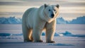 Majestic polar white bear standing on a frozen arctic landscape