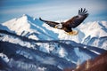 Majestic Portrait of a Bald Eagle, National Symbol of the USA