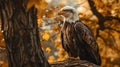 majestic portrait of a bald eagle perched on a forest branch, wildlife photography Royalty Free Stock Photo