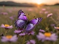 A majestic purple butterfly gracefully resting on a vibrant wildflower in a meadow at dawn