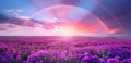 Majestic Purple Field with Rainbow at Sunset Royalty Free Stock Photo