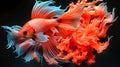 Majestic Red Betta Fish with Floating Fins. Generative ai