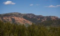 Majestic Red Hills overlooking wilderness pine forest