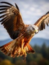 The Majestic Red Kite Soaring in the Sky
