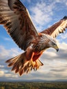 The Majestic Red Kite Soaring in the Sky