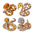Majestic Reticulated Python Coloring Design