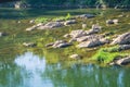 Majestic Roanoke River Rocky Bottom Royalty Free Stock Photo