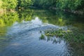 Majestic Roanoke River