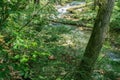 Majestic Roaring Run Creek, Jefferson National Forest Royalty Free Stock Photo