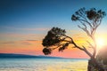 Majestic rock island at sunset, Brela, Makarska riviera, Dalmatia, Croatia Royalty Free Stock Photo