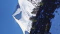 Majestic rocky mountain peak covered with snow and green fir forest in the foreground