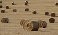 Man-made Crop circles at harvest.