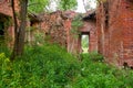 Majestic Ruins of stables and headquarters of hussars Royalty Free Stock Photo
