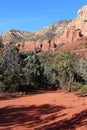 Majestic sandstone and limestone rock formations amidst a grove of trees on the Brins Mesa Trail in Sedona, Arizona Royalty Free Stock Photo