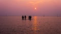 Silhouette of peoples at Bagan Lalang Beach during the sunset in the evening Royalty Free Stock Photo