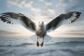 Majestic seagull in flight over ocean at sunset Royalty Free Stock Photo