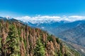 Majestic shot of a densely forested layered mountain range in Sequoia National Park in United States