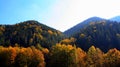 Majestic shot of a densely forested mountain range covered with a colorful lush autumn vegetation Royalty Free Stock Photo