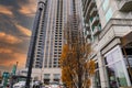 A majestic shot of a skyscrapers and office buildings in the city with tall black light posts and autumn colored trees with parked Royalty Free Stock Photo